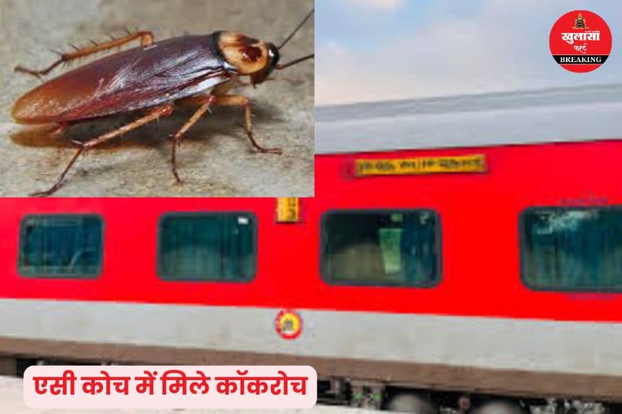 किस ट्रेन के एसी कोच में मिले कॉकरोच