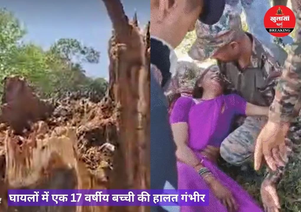 राहगीरों पर गिरा 50 साल पुराना पेड़