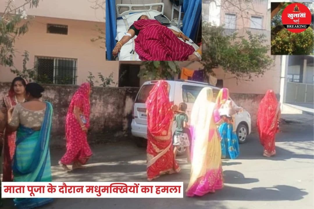 माता पूजा के दौरान मधुमक्खियों का हमला