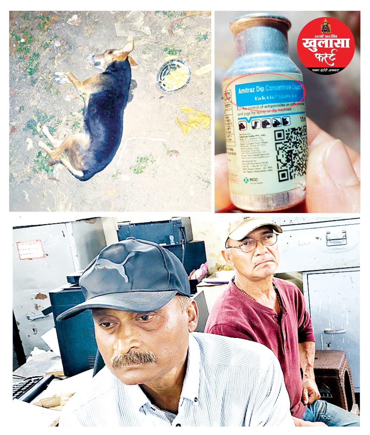 इंसान ही नहीं, बेजुबानों के लिए भी दिखाई दरियादिली