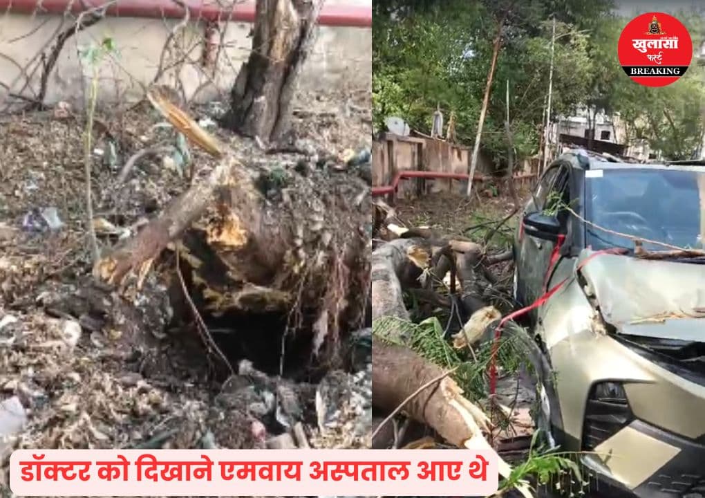 एमवाय अस्पताल परिसर में चलती कार पर गिरा जर्जर पेड़