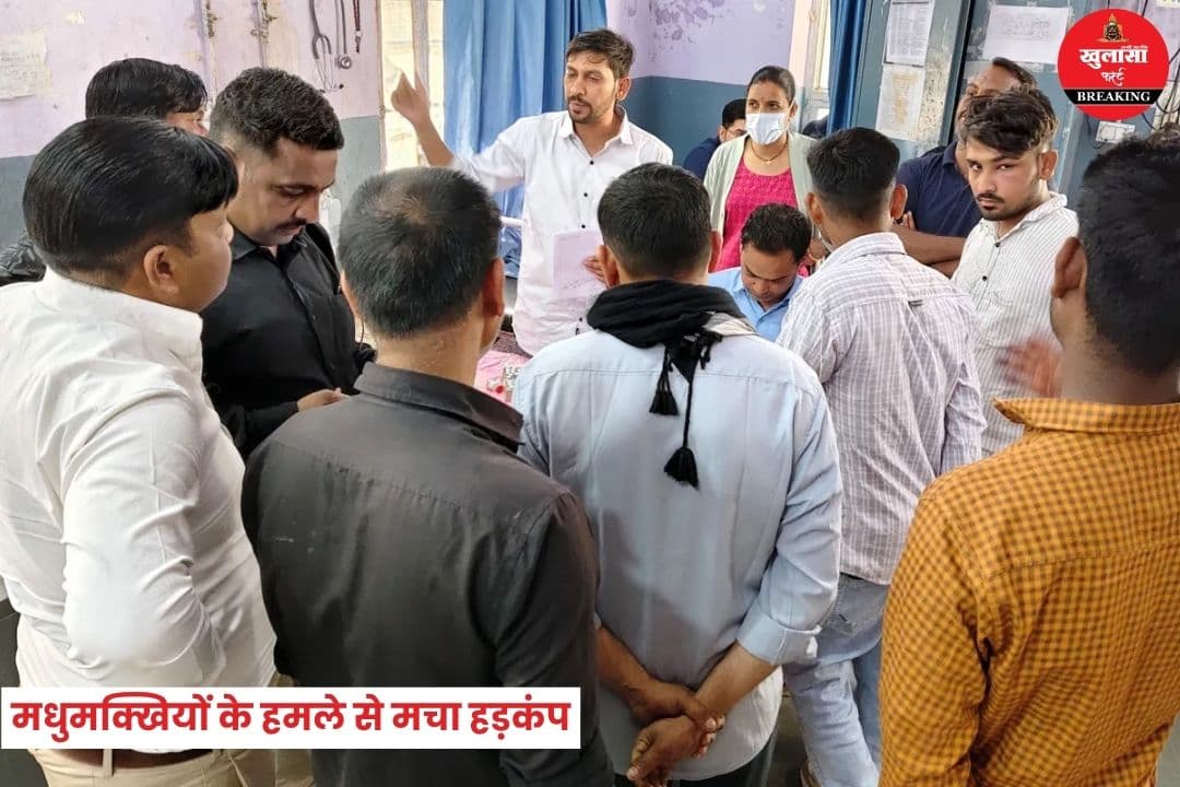 मधुमक्खियों के हमले से मचा हड़कंप