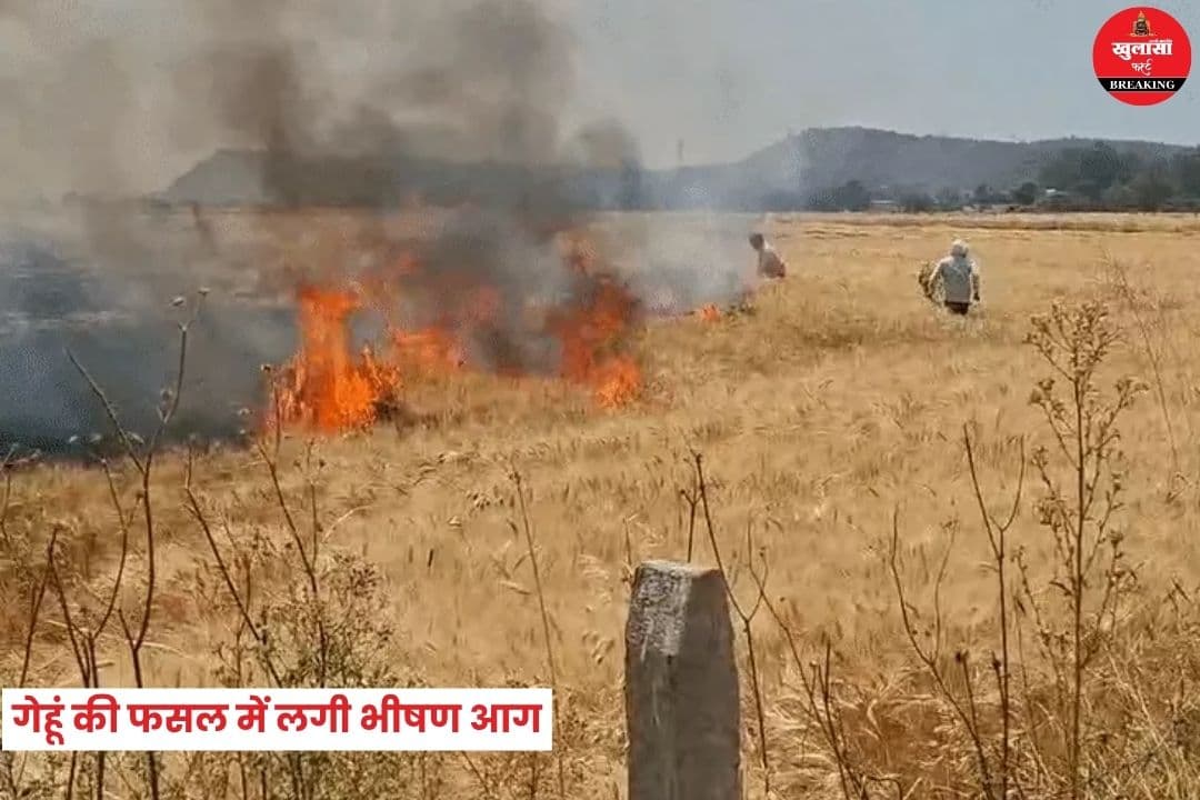 गेहूं की फसल में लगी भीषण आग