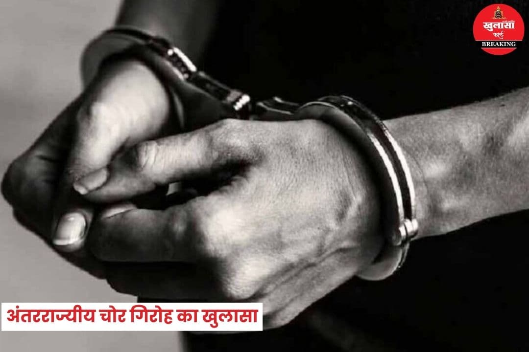 अंतरराज्यीय चोर गिरोह का खुलासा