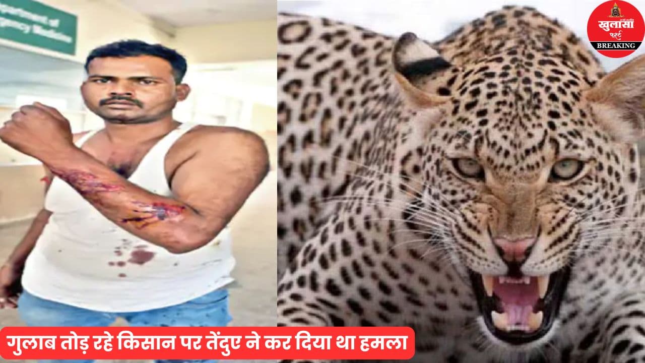 ग्रामीण इलाकों में तेंदुए का आतंक