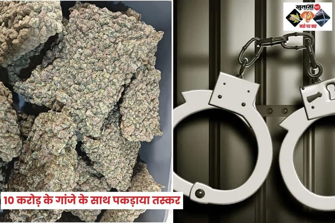 कस्टम विभाग की बड़ी कार्रवाई