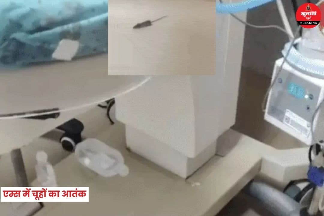एम्स में चूहों का आतंक