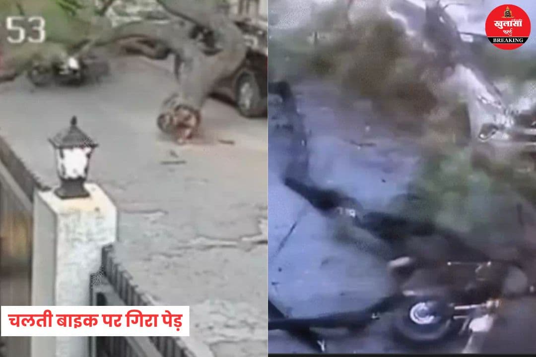 चलती बाइक पर गिरा पेड़