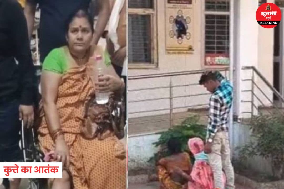 कुत्ते का आतंक