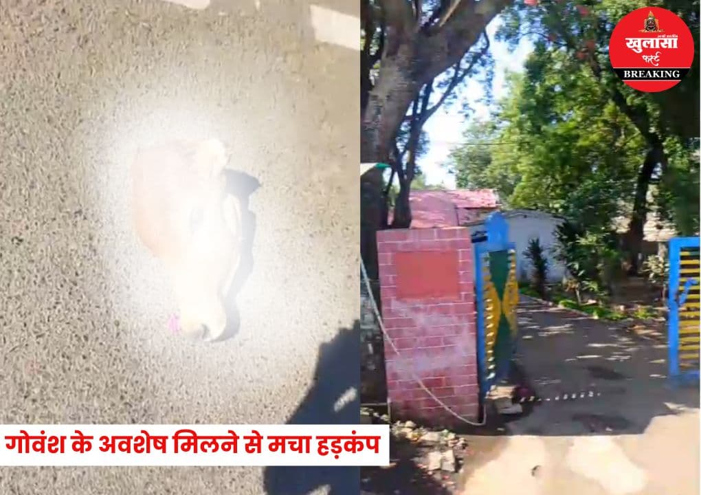 क्रिश्चियन कब्रिस्तान के सामने गोवंश के अवशेष मिलने से मचा हड़कंप