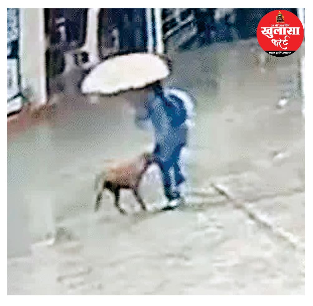 आवारा कुत्ते का आतंक, 40 को काटा, अभी तक नहीं आया पकड़ में