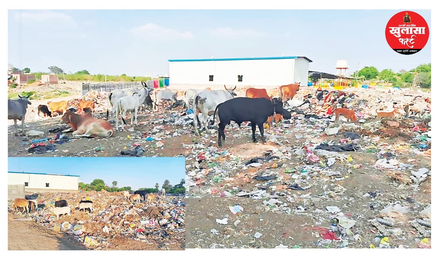 गो संरक्षण के दावों पर सवाल