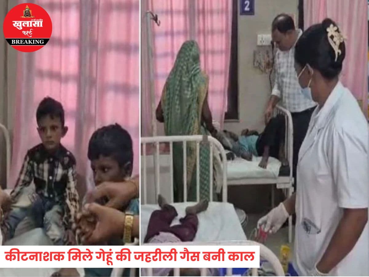 कीटनाशक मिले गेहूं की जहरीली गैस बनी काल