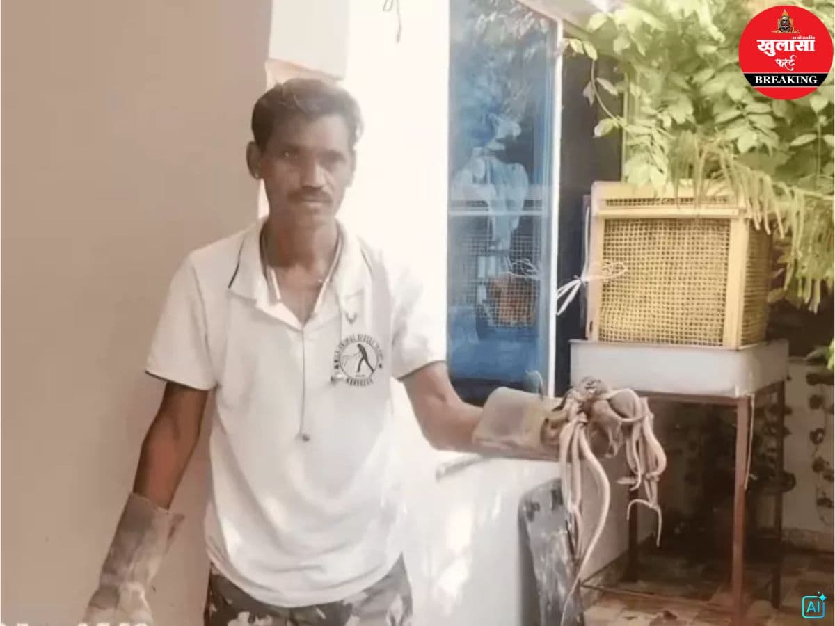 कुएं से निकले इतने कोबरा