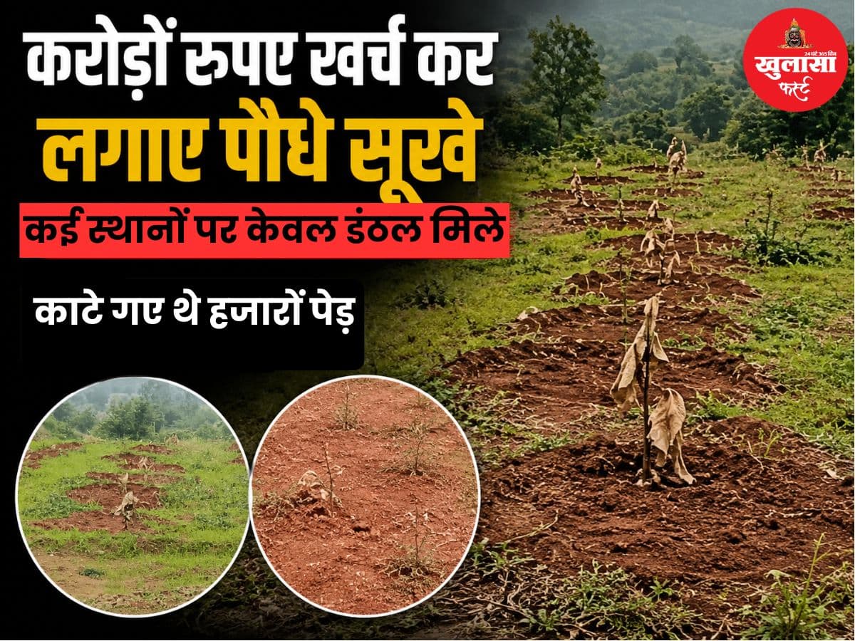 करोड़ों रुपए खर्च कर लगाए पौधे सूखे