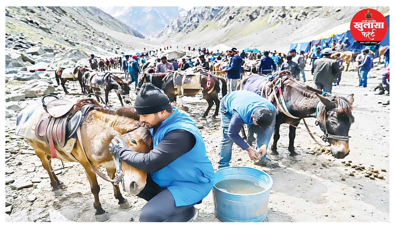 14,000 फीट पर धड़कती हॉर्स-इकोनॉमी