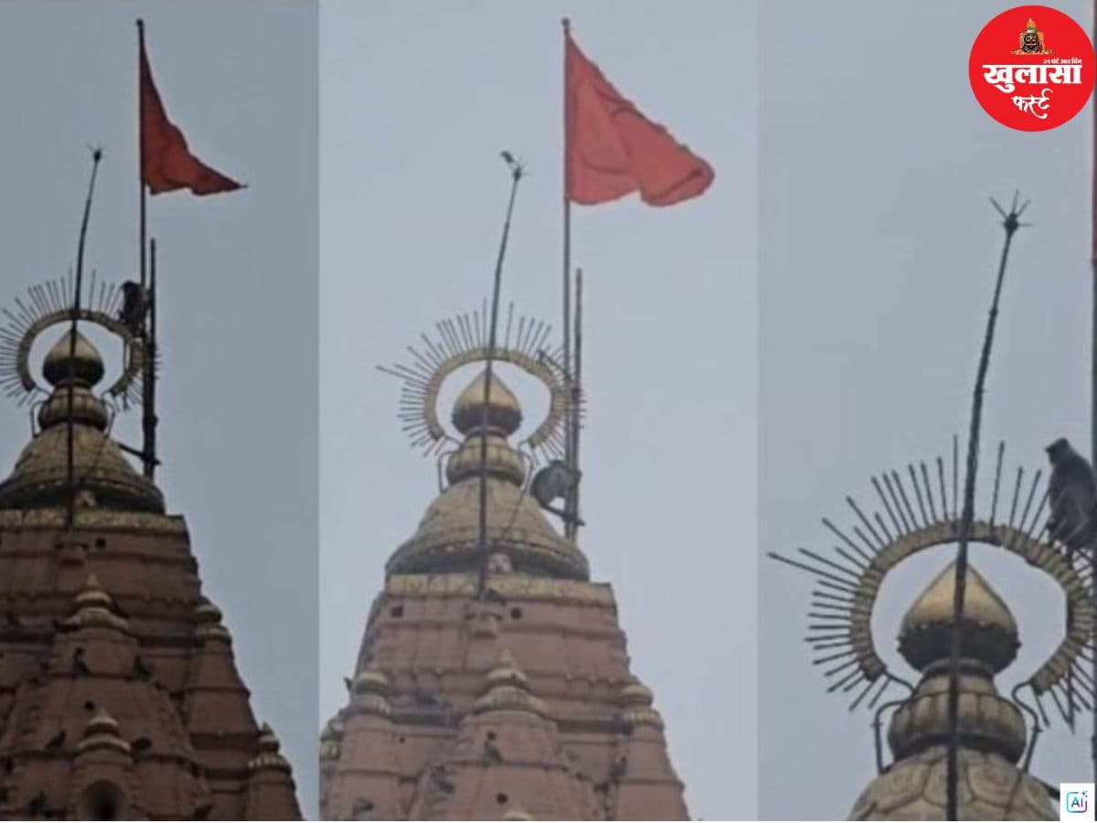 बाबा के मंदिर के शिखर पर ध्वज थामे बैठे वानर राज