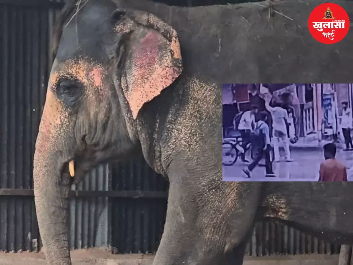 ऑटो चालक को कुचलने वाला हाथी पहुंचा यहां