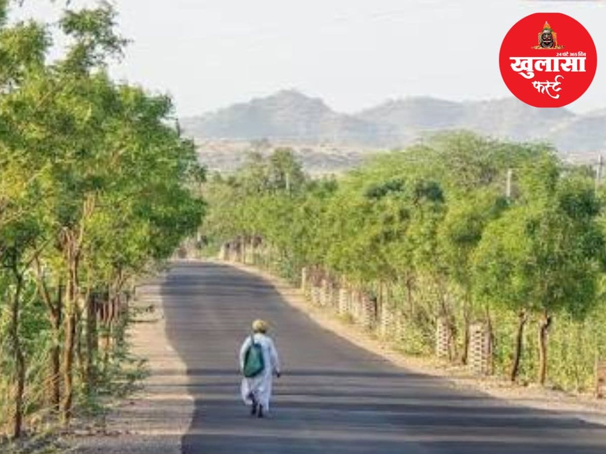 सड़क किनारे पेड़ सूखे तो इंजीनियरों पर गिरेगी गाज