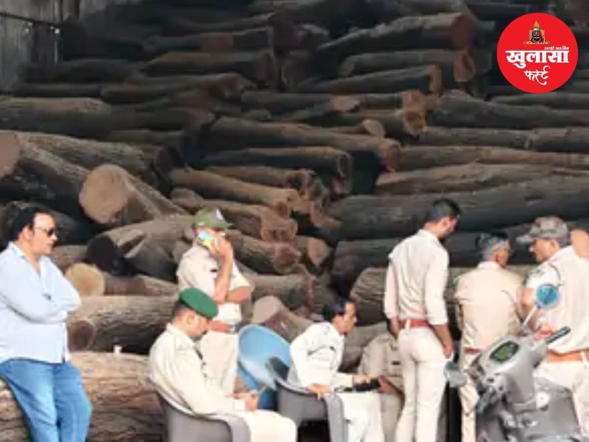 फर्जी ट्रांजिट पास से लकड़ी का खेल