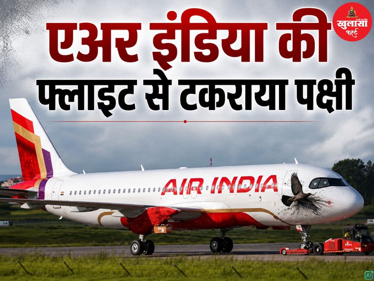 एअर इंडिया की फ्लाइट से टकराया पक्षी
