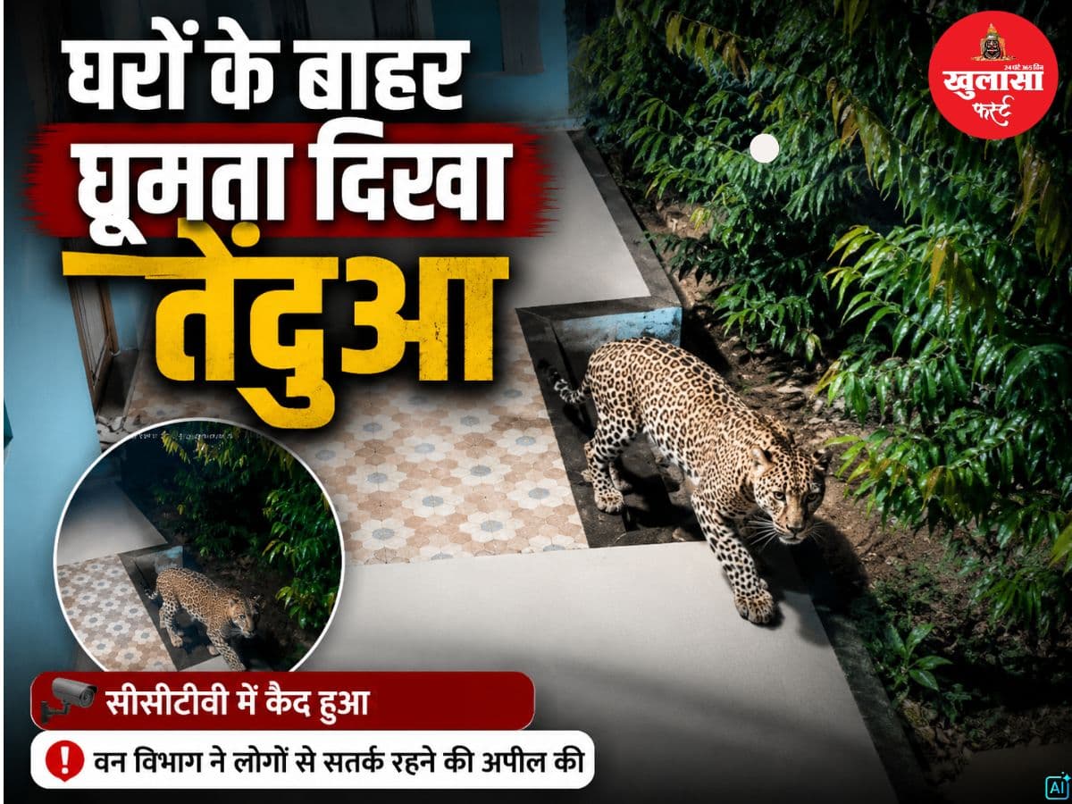 घरों के बाहर घूमता दिखा तेंदुआ