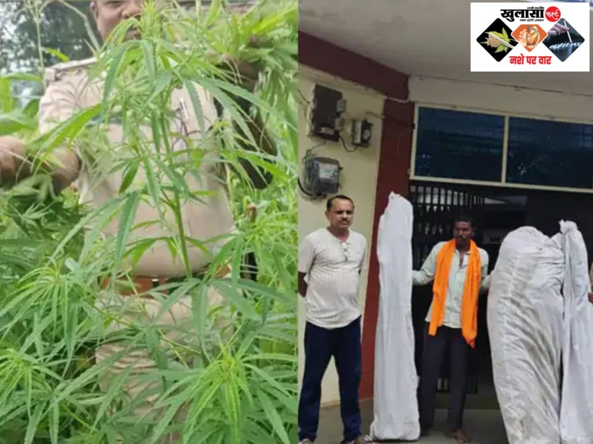 नशे के खिलाफ पुलिस की बड़ी कार्रवाई