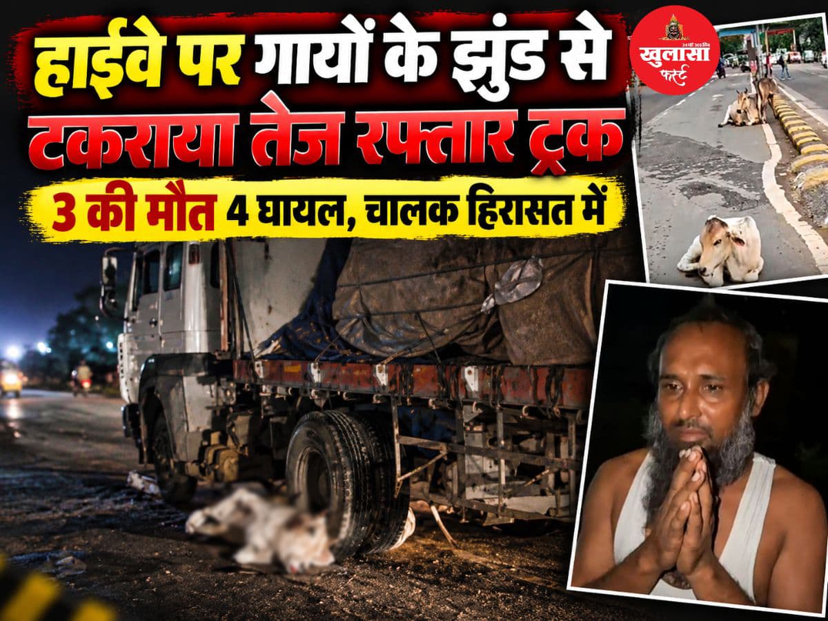हाईवे पर गायों के झुंड से टकराया तेज रफ्तार ट्रक