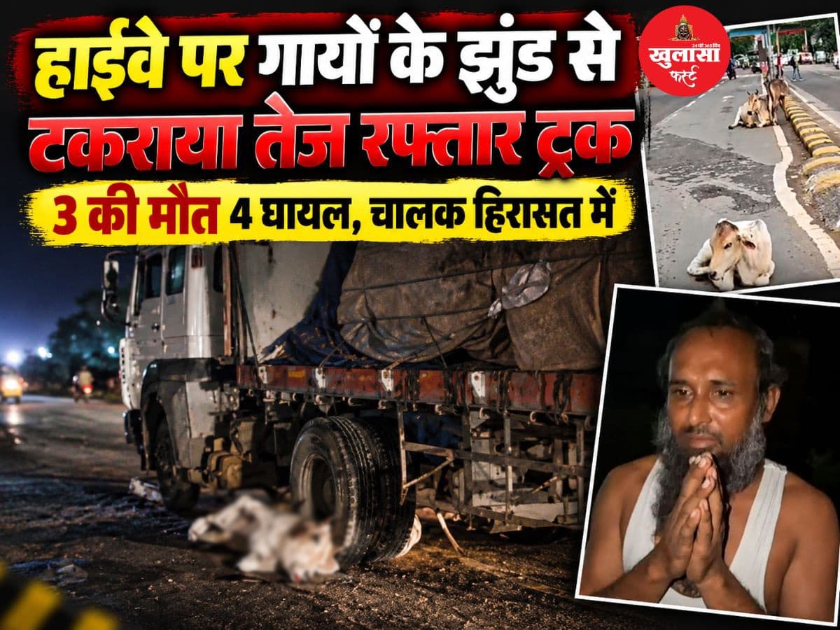 हाईवे पर गायों के झुंड से टकराया तेज रफ्तार ट्रक