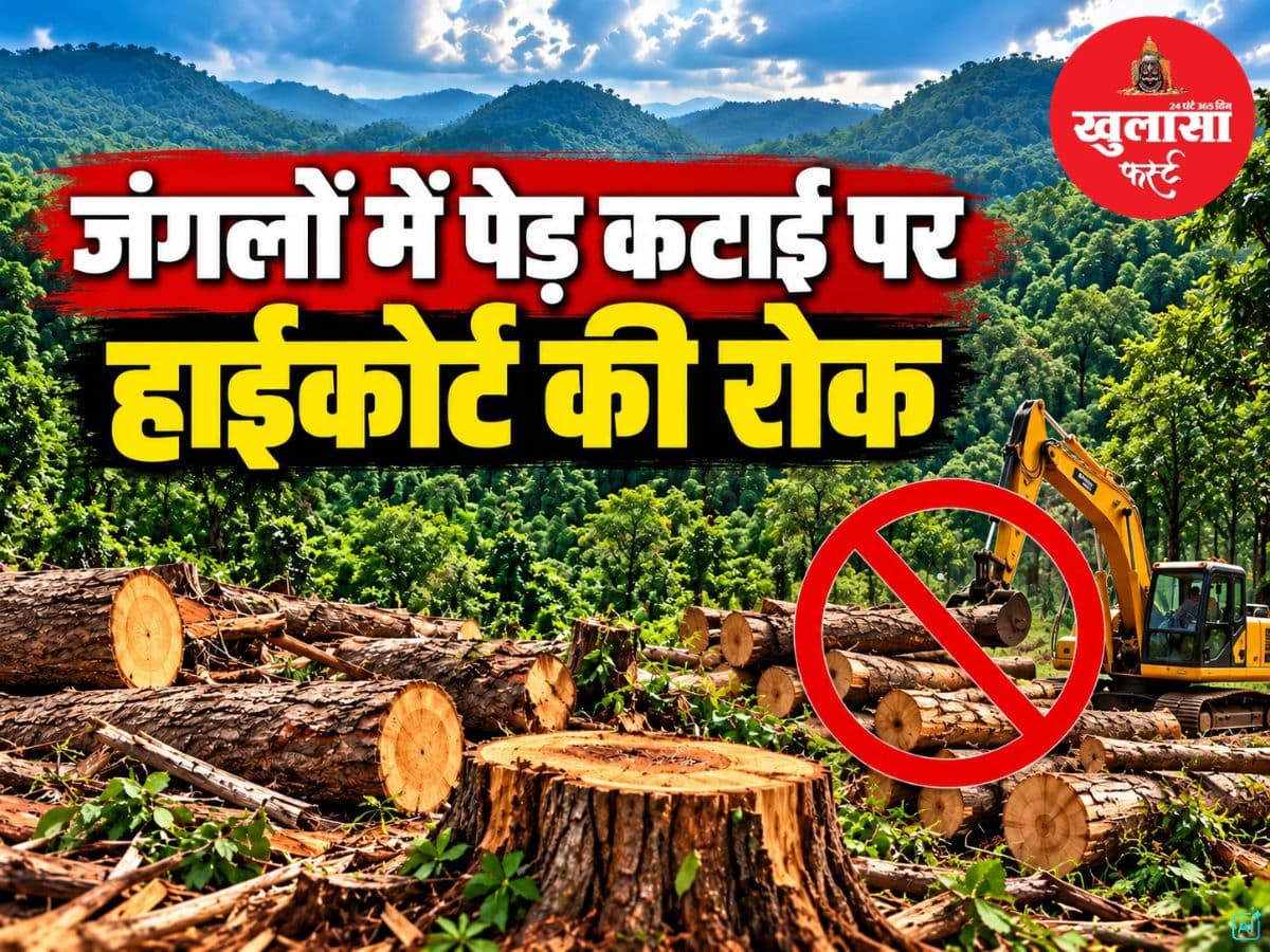 जंगलों में पेड़ कटाई पर हाईकोर्ट की रोक
