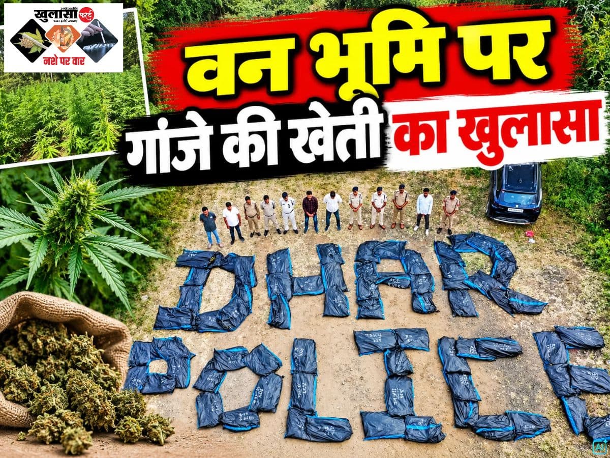 वन भूमि पर गांजे की खेती का खुलासा