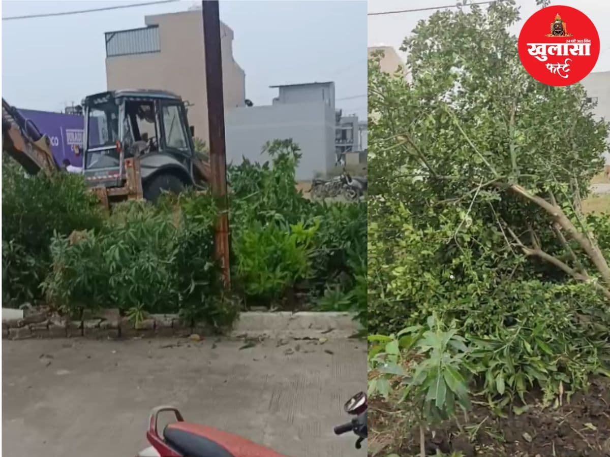वीडियो देखिये, कॉलोनी में पेड़ उखाड़ने को लेकर विवाद
