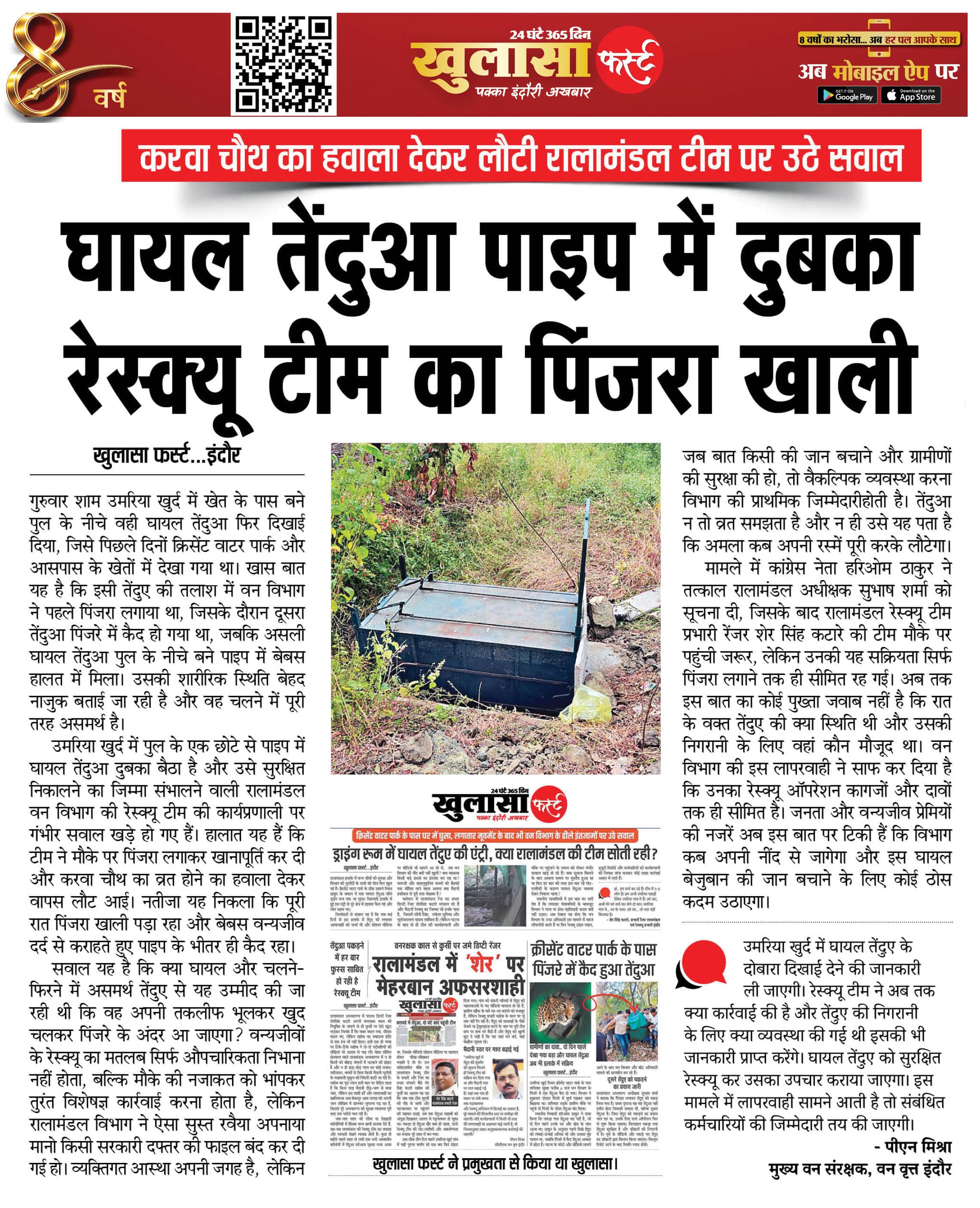 घायल तेंदुआ पाइप में दुबका रेस्क्यू टीम का पिंजरा खाली