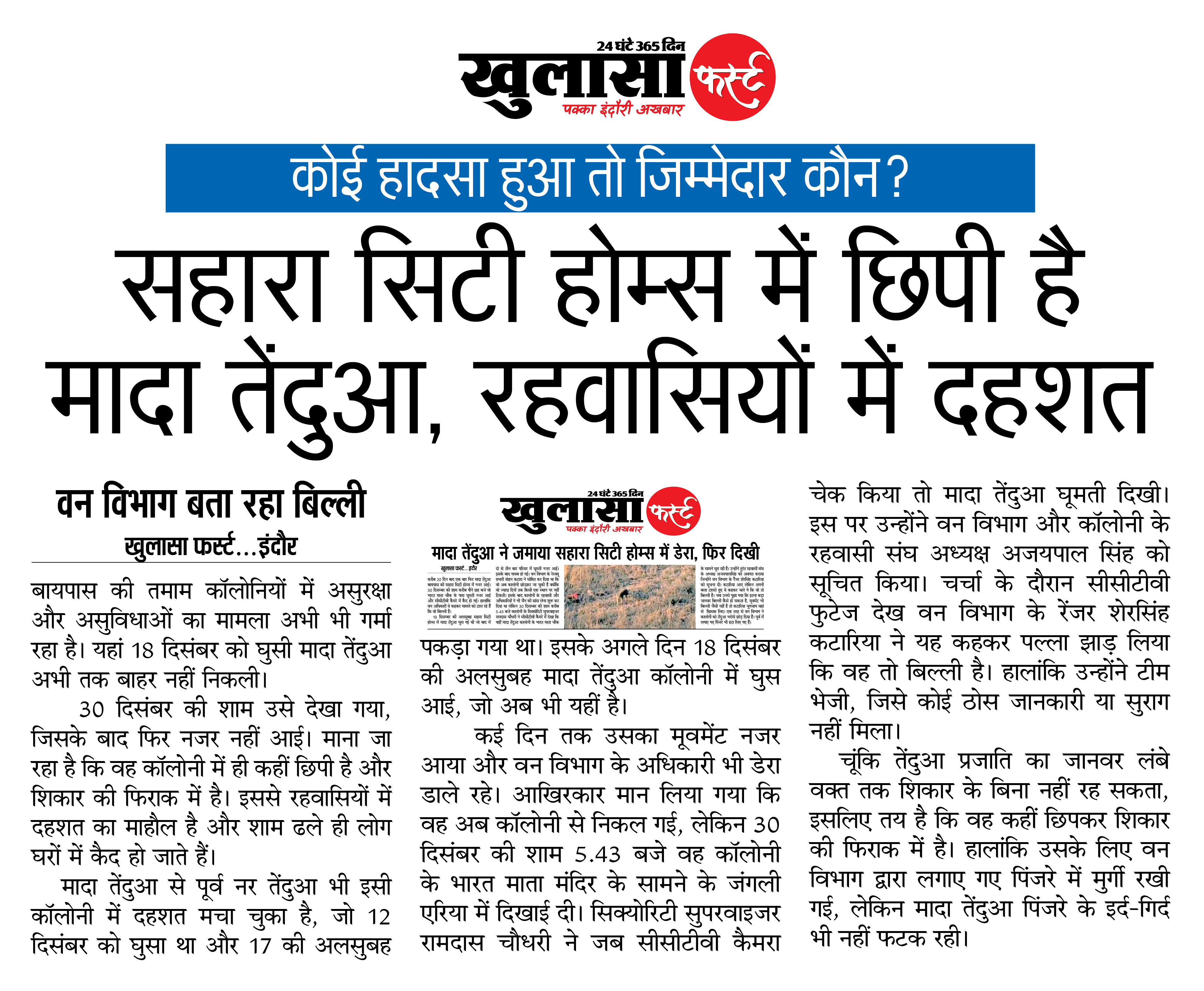 सहारा सिटी होम्स में छिपी है मादा तेंदुआ, रहवासियों में दहशत