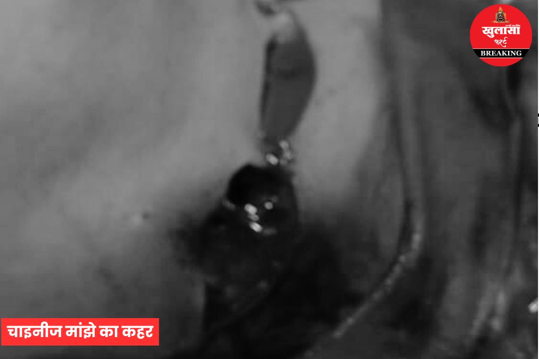 चाइनीज मांझे का कहर