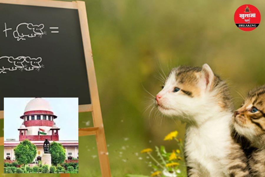 14 वर्ष के छात्र को स्कूल से क्यों निकाला