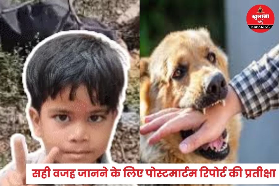 25 दिन पहले आवारा कुत्ते ने काटा था