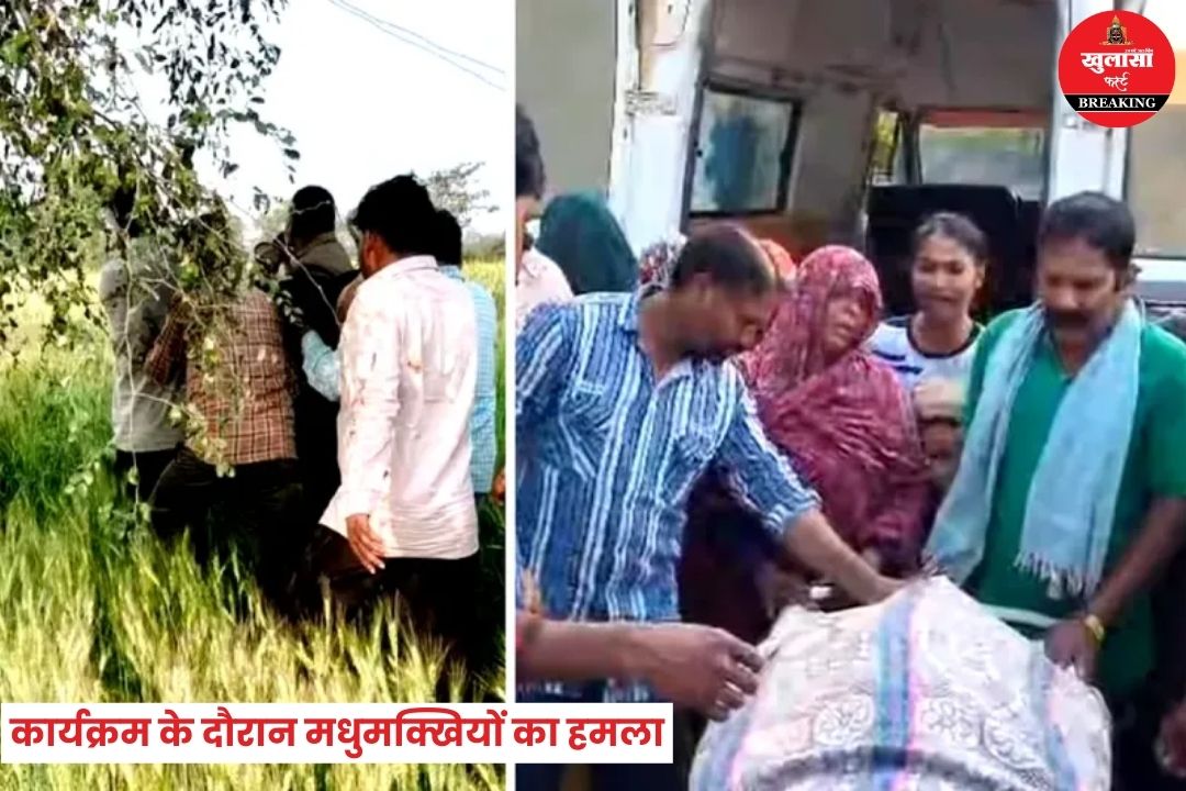 कार्यक्रम के दौरान मधुमक्खियों का हमला