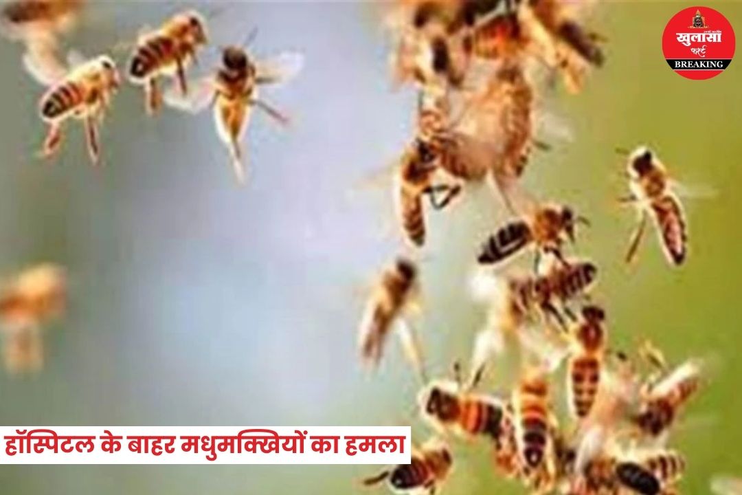 हॉस्पिटल के बाहर मधुमक्खियों का हमला