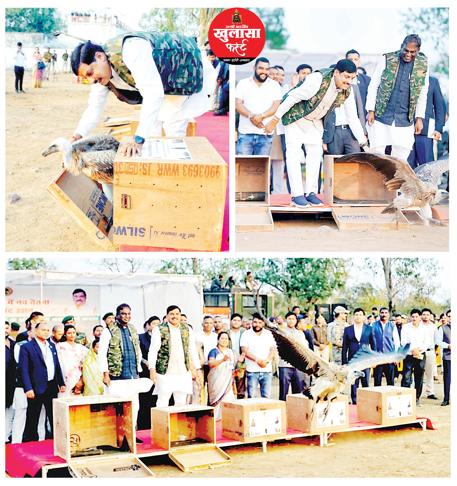 मप्र गिद्ध संरक्षण में भी देश में प्रथम, मुख्यमंत्री डॉ. मोहन यादव