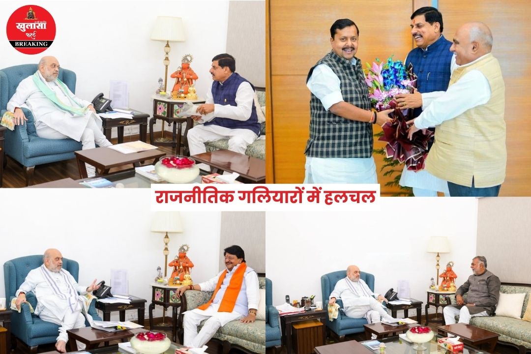 मुख्यमंत्री और प्रदेश अध्यक्ष ने की गृह मंत्री-राष्ट्रीय अध्यक्ष से मुलाकात