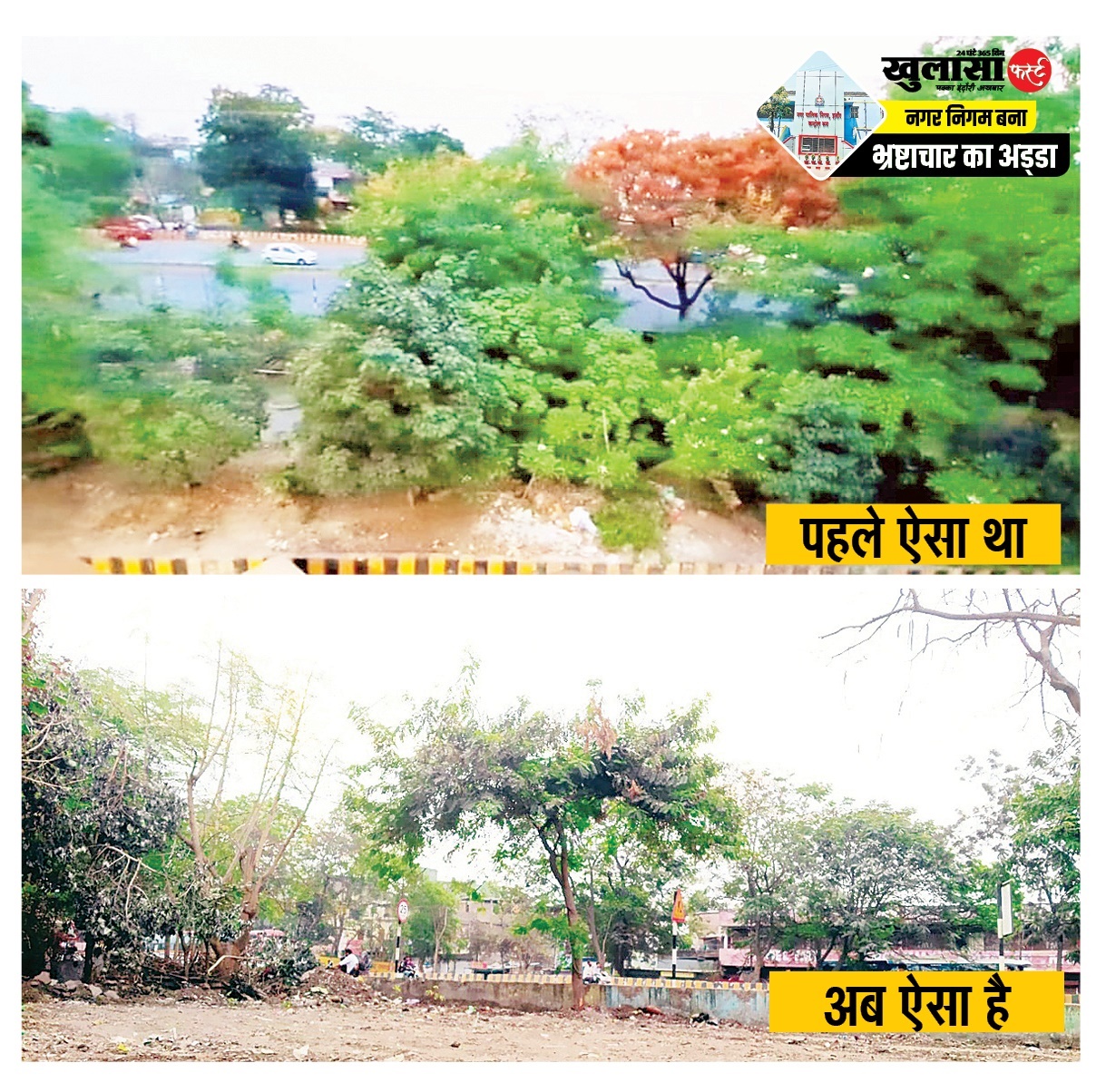 ग्रीनबेल्ट पर दर्जनों हरे-भरे पेड़ काटकर निर्माण की तैयारी