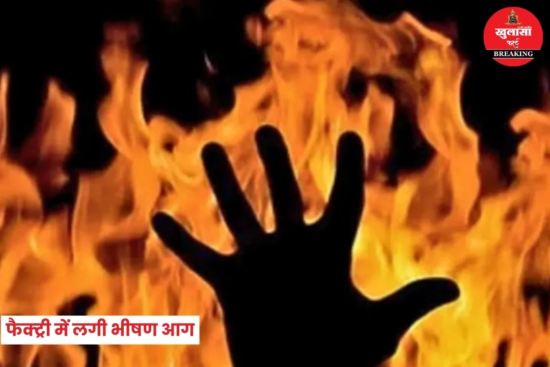 फैक्ट्री में लगी भीषण आग