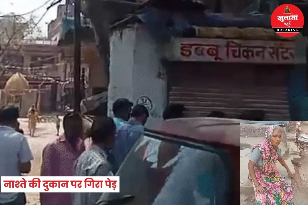नाश्ते की दुकान पर गिरा पेड़