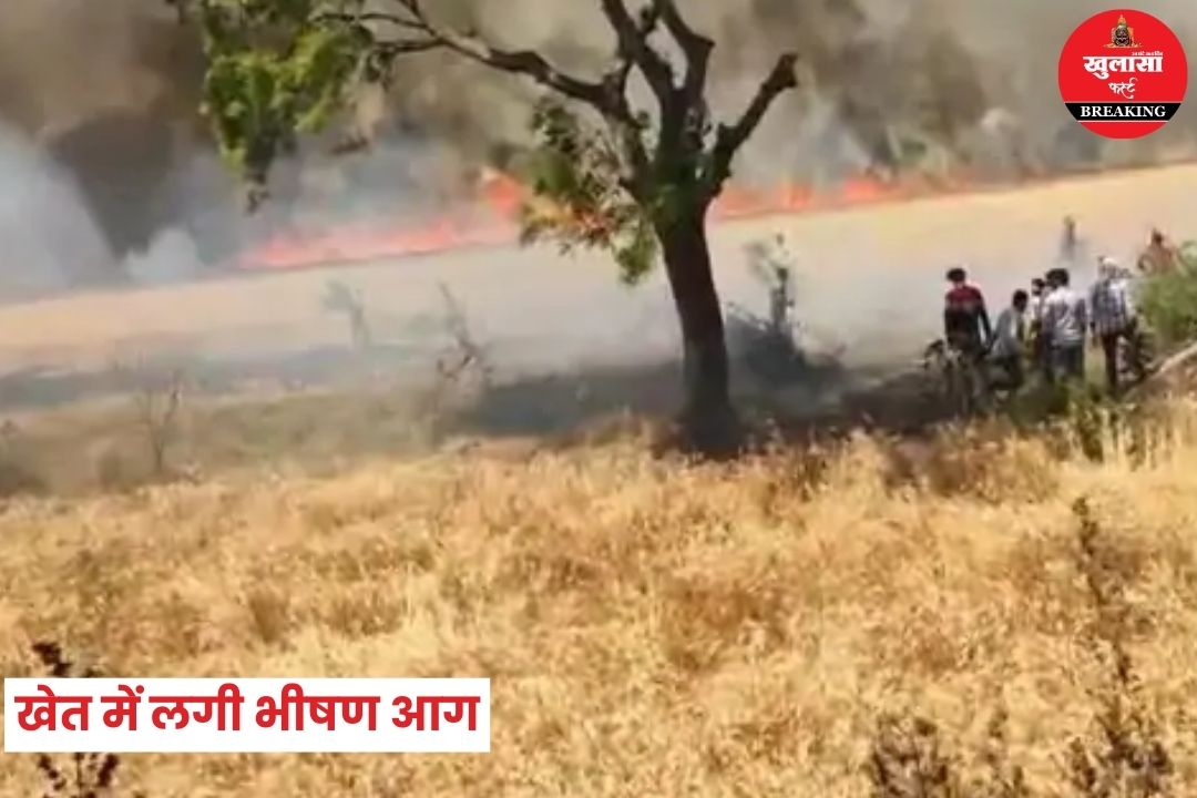 खेत में लगी भीषण आग