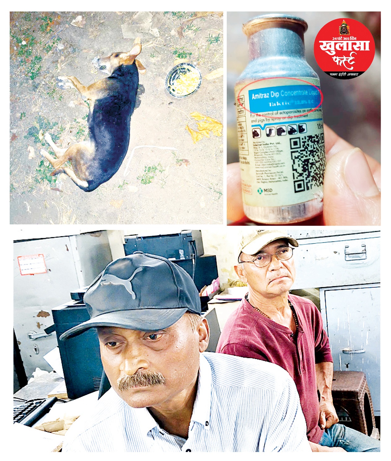 इंसान ही नहीं, बेजुबानों के लिए भी दिखाई दरियादिली