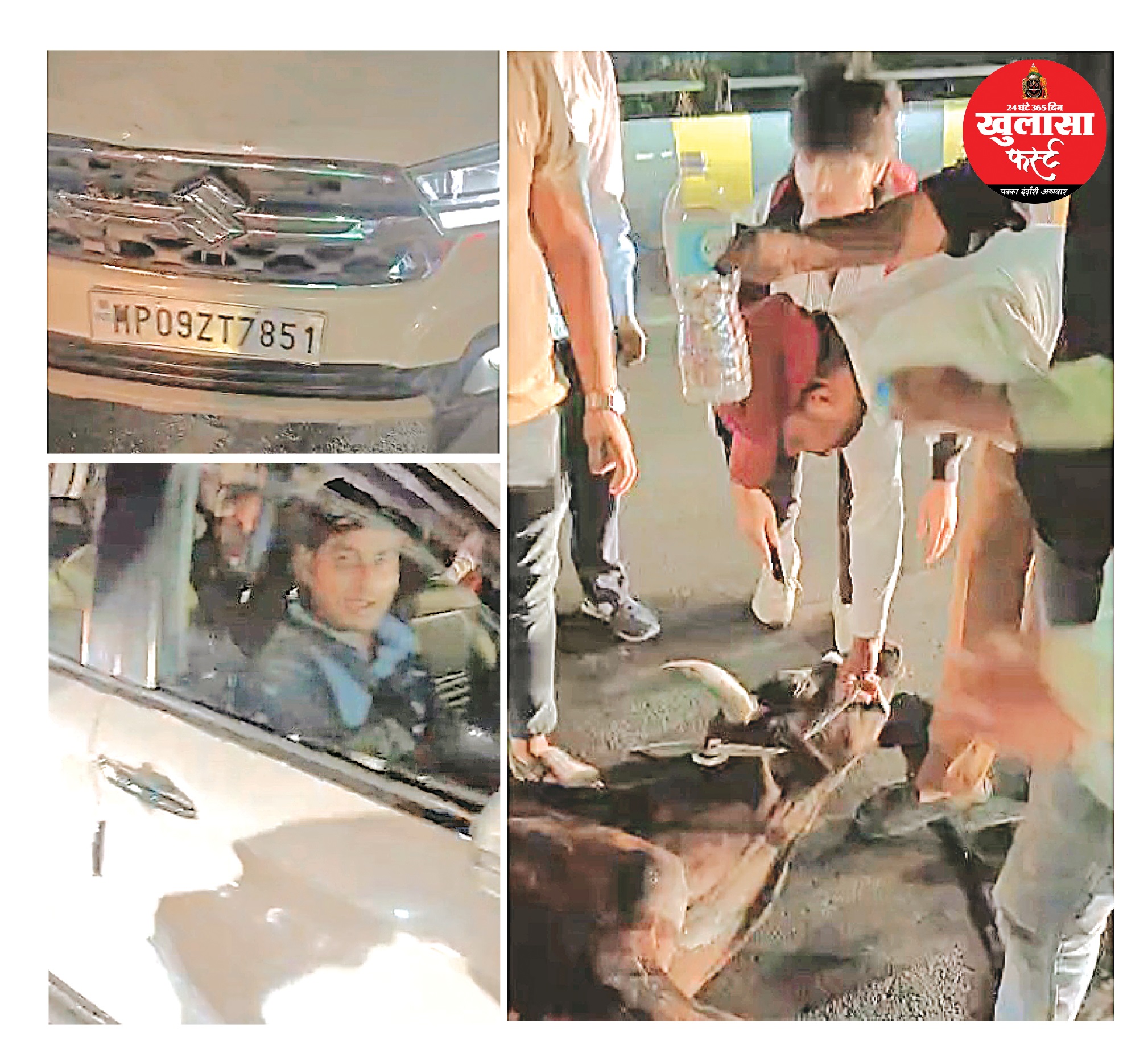 बेकाबू कार ने गाय को रौंदा