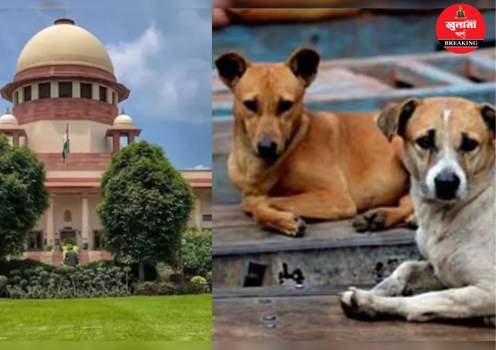 आवारा कुत्तों के बढ़ते हमलों पर बड़ा फैसला