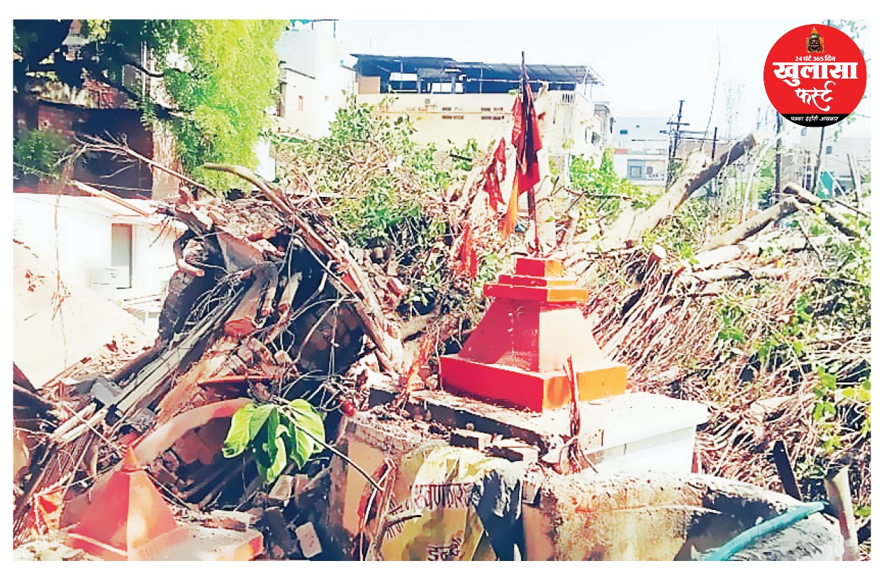 गणगौर घाट पर 150 साल पुराना बरगद का पेड़ गिरा