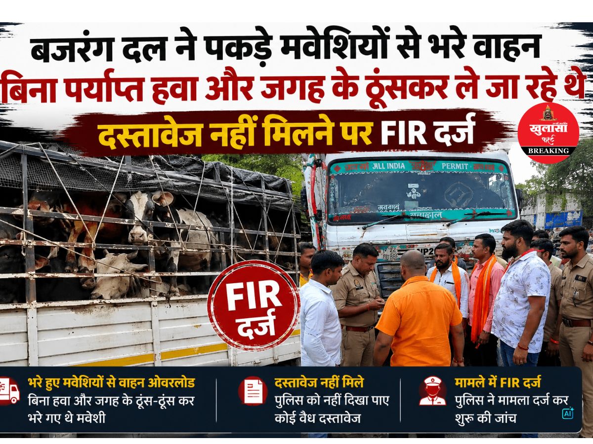 वाहन में मवेशियों के साथ ऐसी क्रूरता